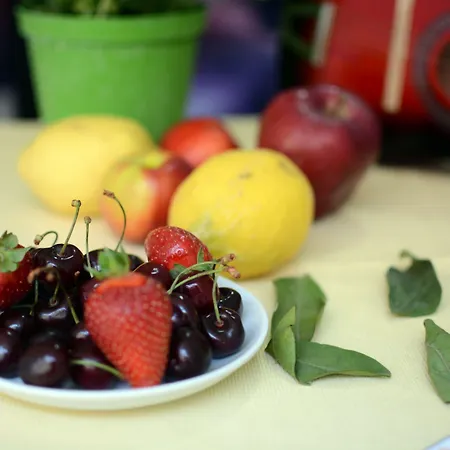 بيت شباب Bella